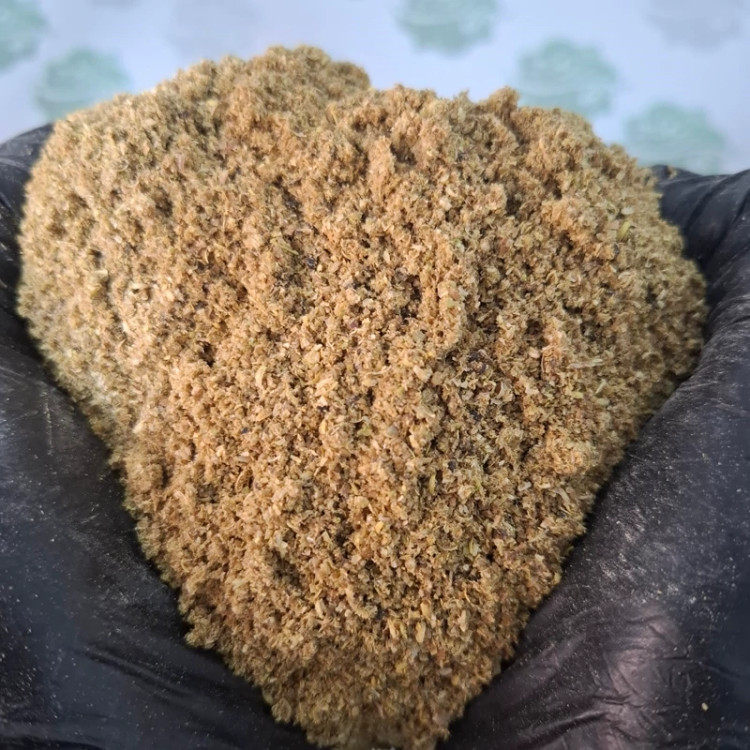 تخم گشنیز