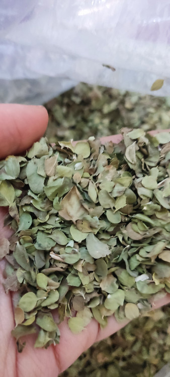 آویشن شیرازی